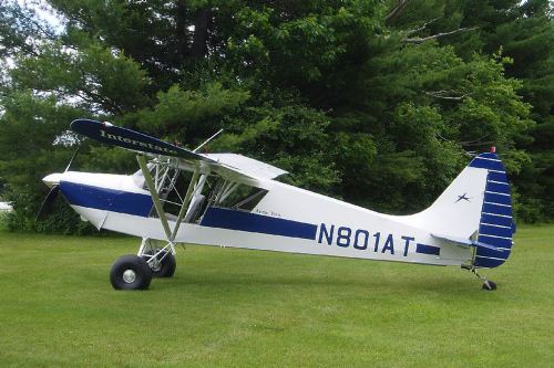 Bates Artic Tern 1/5.3 & 1/4 scale Parts Sets
