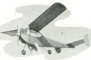 The Wyvern - Vintage model 29" span