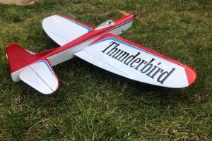 Thunderbird II (Differential Flaps) by Palmer CL Stunt
