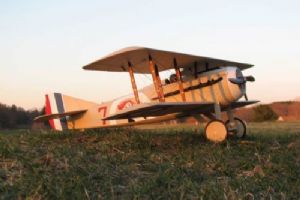 Browse Spad 13 - 36" electric scale