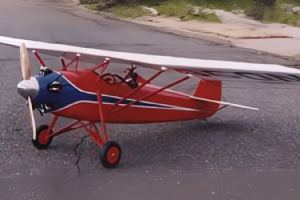 Browse Davis D1W - 1/4 scale