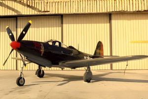 Browse P-63A Kingcobra Parts Set - Palmer