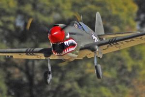 P-40 Warhawk - Parts Set - Ziroli