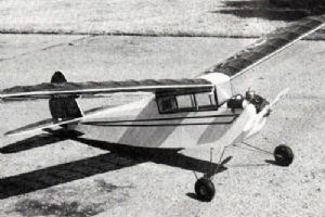 Kloud King 1938 - 74" span for RC Assist